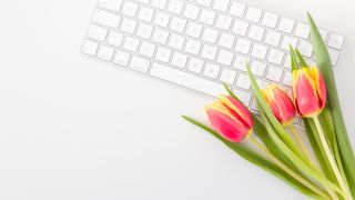 Tulips next to computer keyboard
